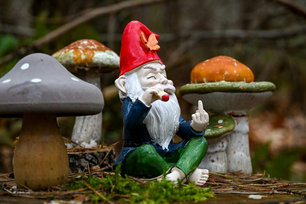 Whimsical garden gnome sitting among mushrooms in a forest environment.
