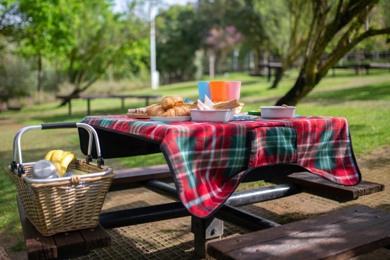 A vibrant picnic scene with food and basket on a table in a lush Portuguese park.