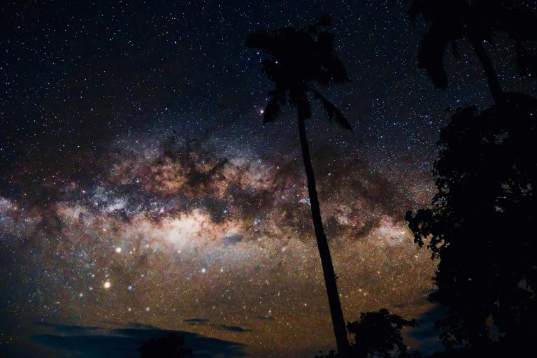 Majestic view of the Milky Way against silhouetted palm trees at night.