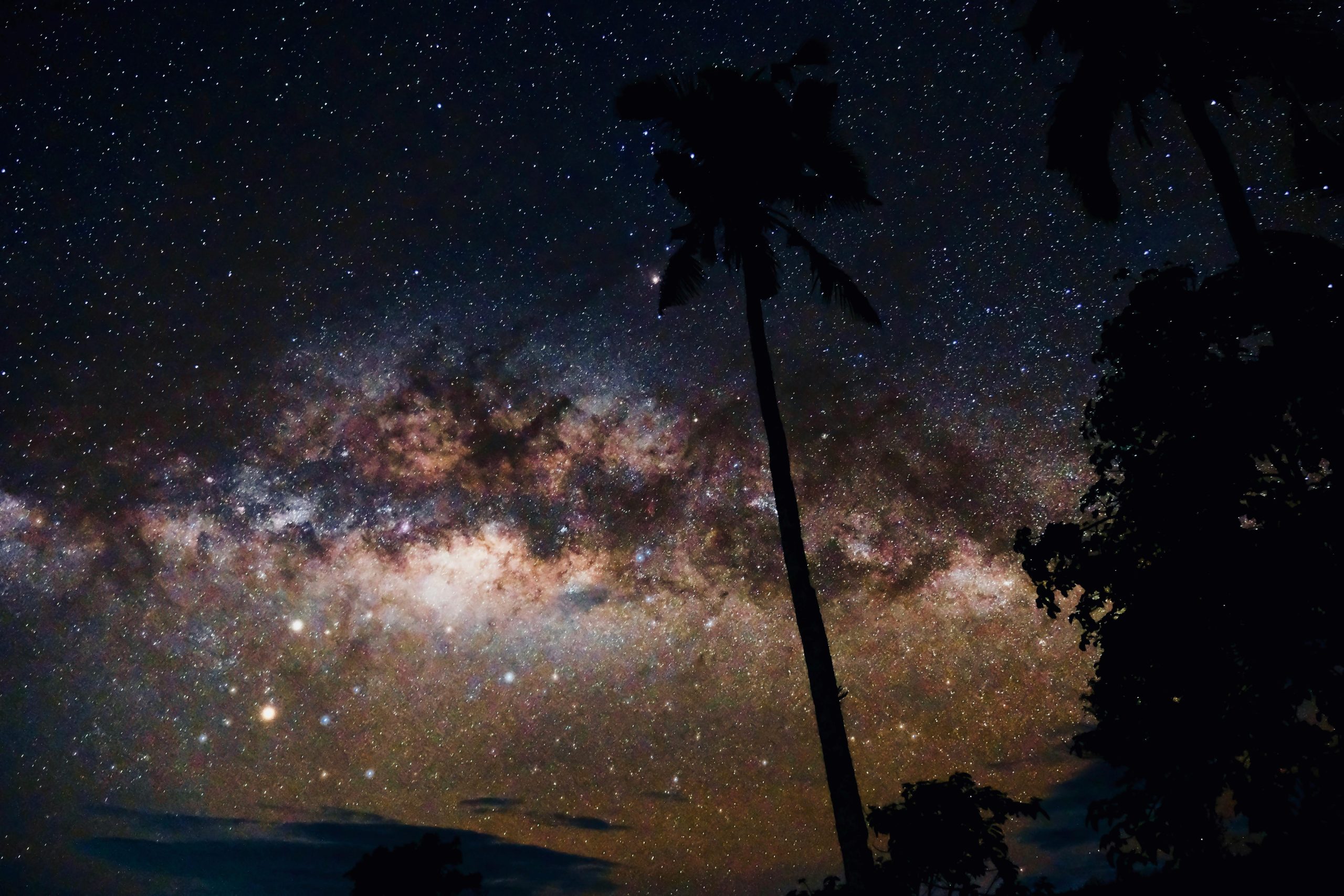Majestic view of the Milky Way against silhouetted palm trees at night.